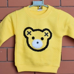 High Quality Teddy bear fleece material kids suit